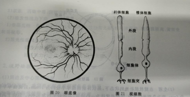 济宁验光师证怎么考
